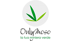 onlymoso logo